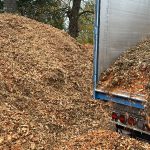 Kostenloses Annahme von Hackschnitzeln